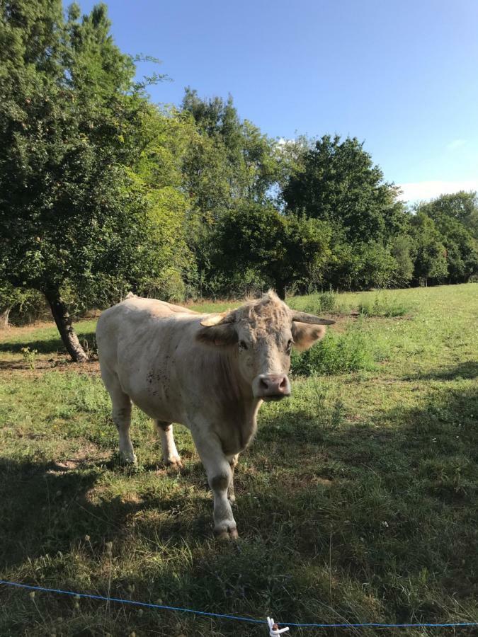 فيلا La Bergerie Du Domaine Des Buissonnets Écardenville-sur-Eure المظهر الخارجي الصورة
