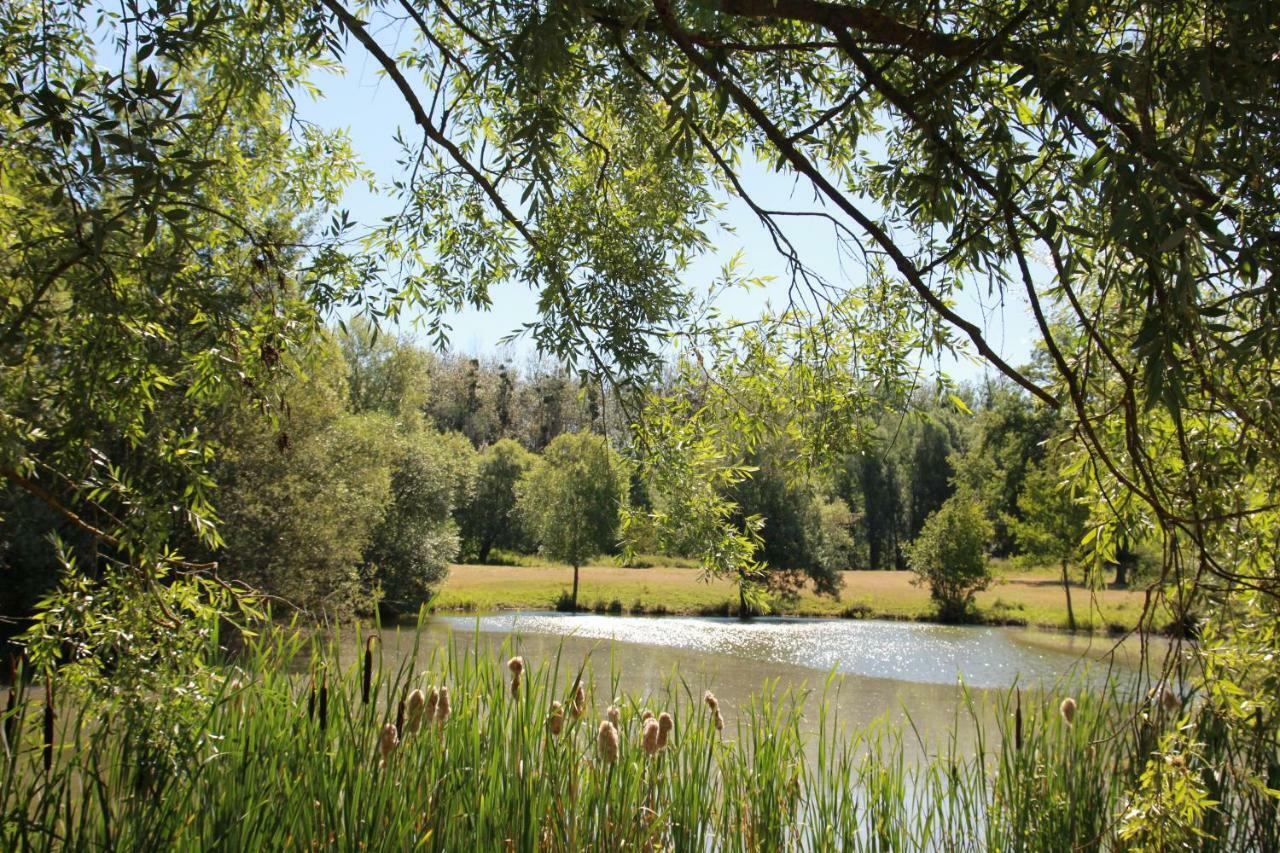 فيلا La Bergerie Du Domaine Des Buissonnets Écardenville-sur-Eure المظهر الخارجي الصورة